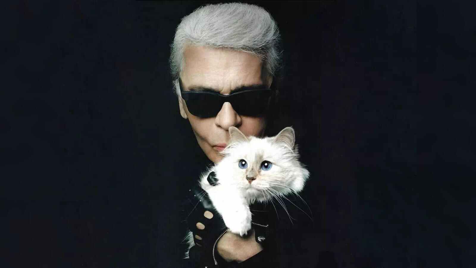 Karl Lagerfeld Cat